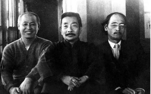 鲁迅最新爆料事件视频全集,揭秘历史真相，视频全集深度解析  第1张